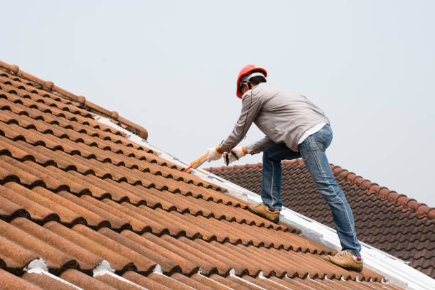 Best Roof Ventilation Installation  in Lockland, OH